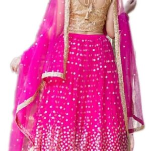 Semi-Stitched Pink Lehanga Choli (Free Size)